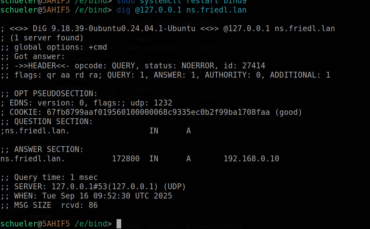 dig result