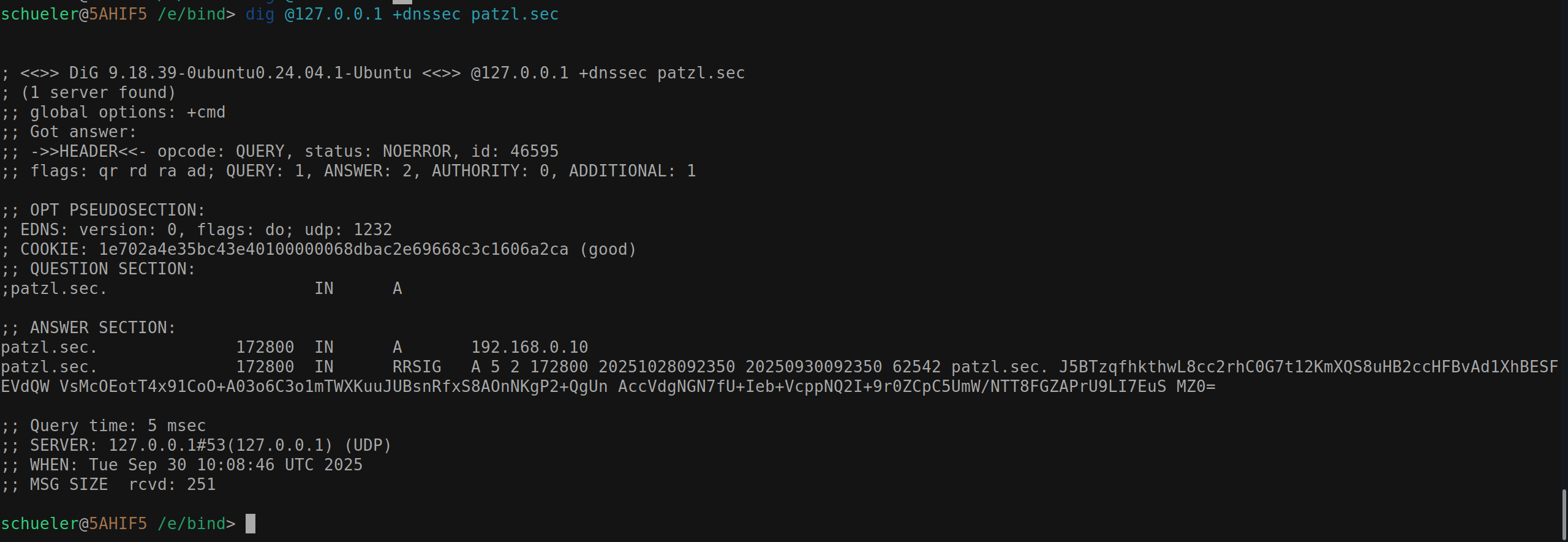 dnssec dig test