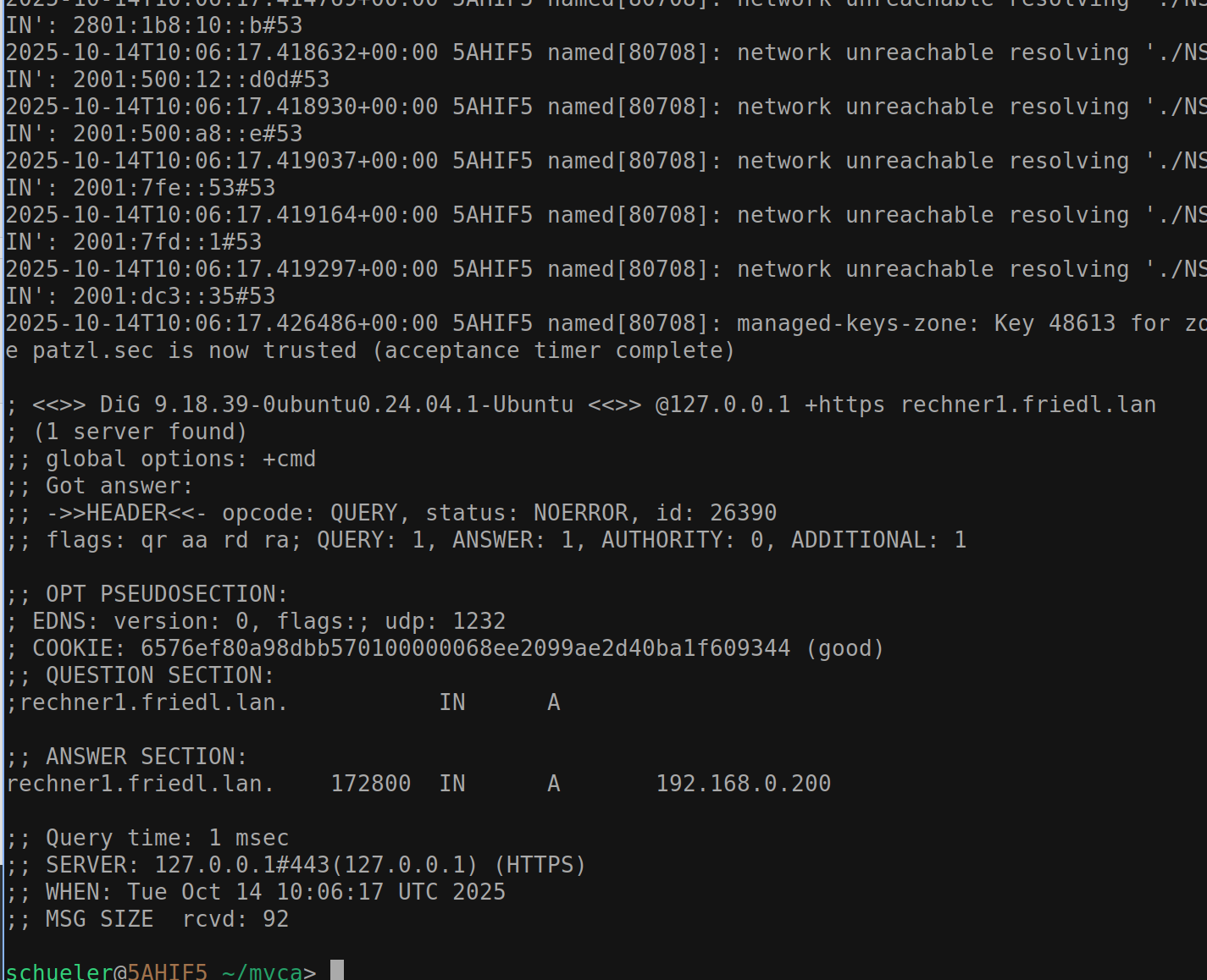 doh dig test
