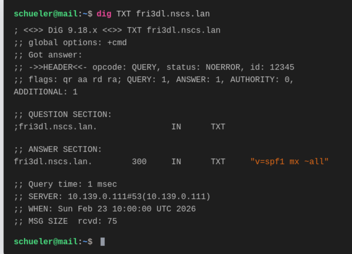 SPF DNS Lookup